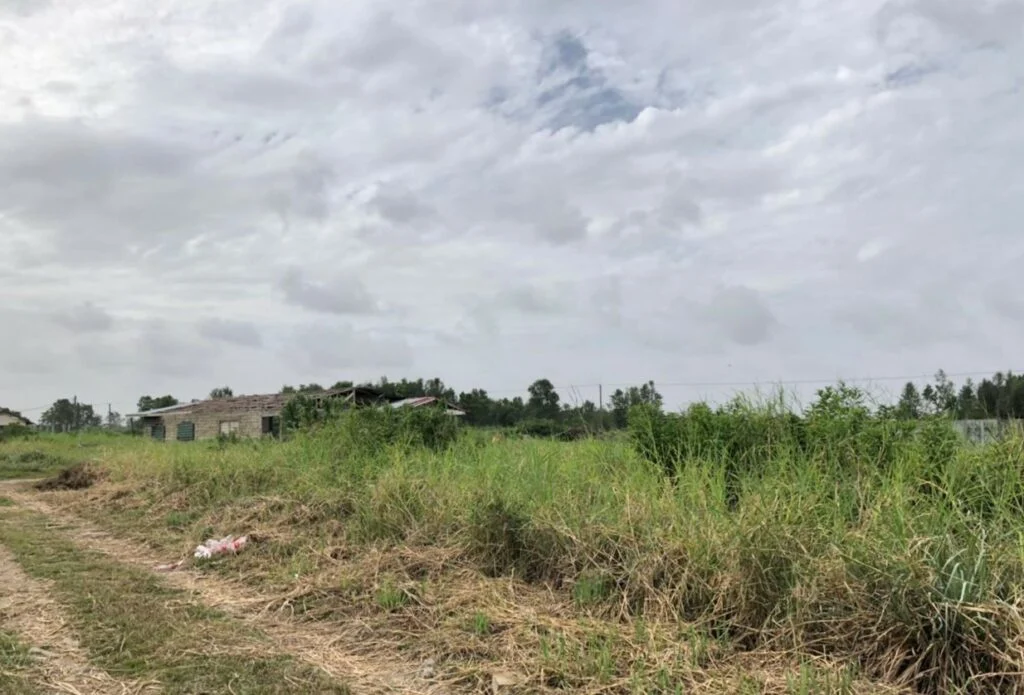 Bridj Village