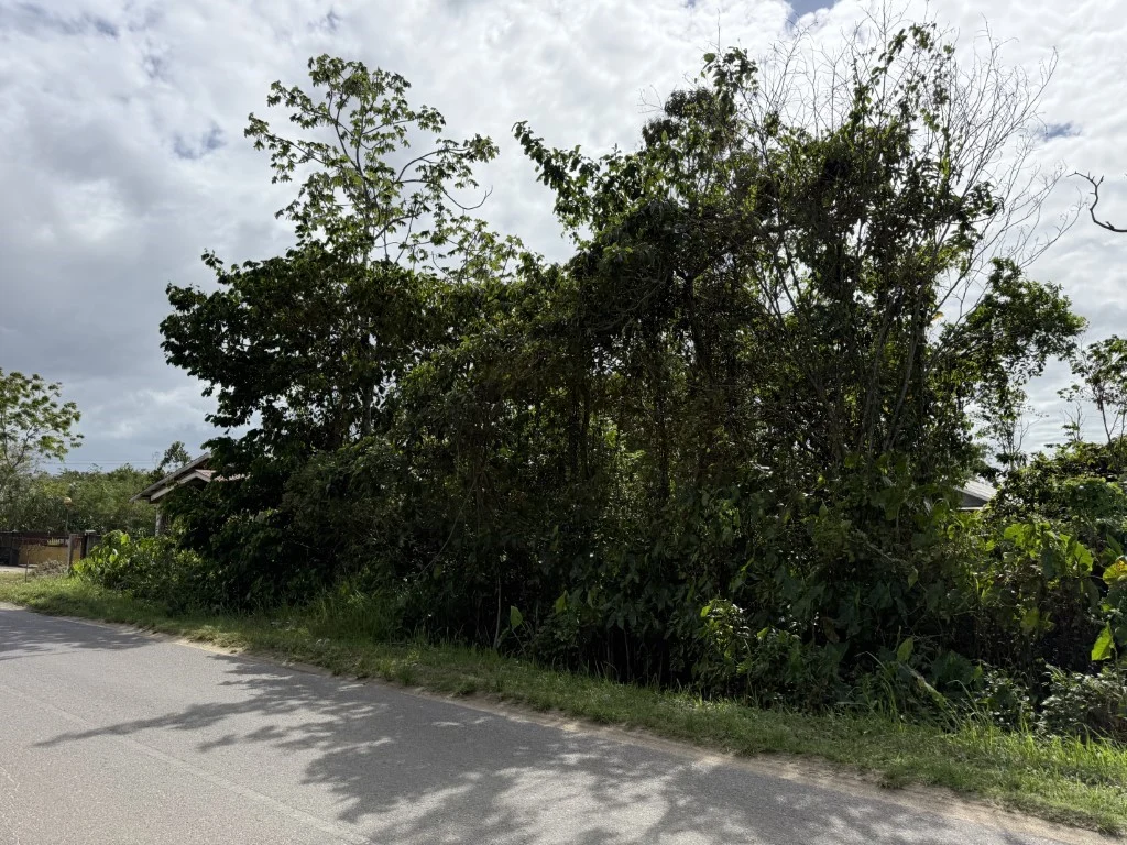 Ramawadhdoebeweg